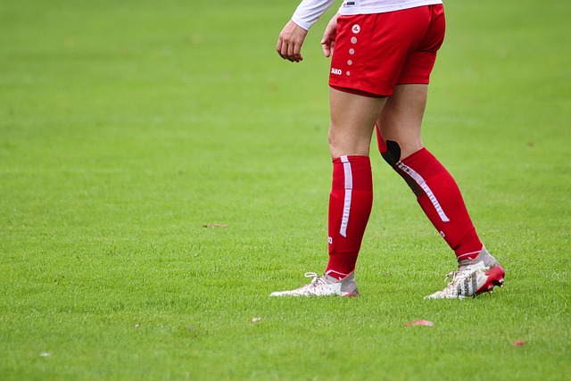 粉丝来说 粉丝来说