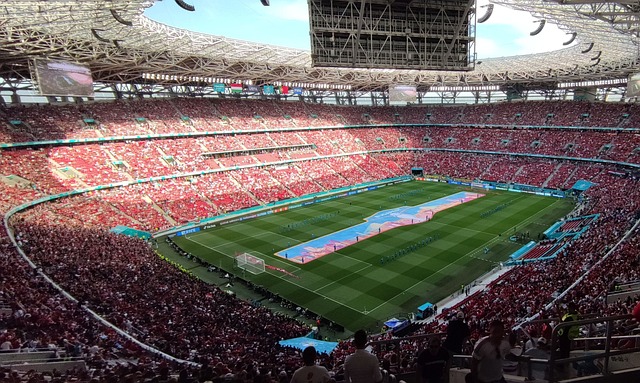 在追求商业 在追求商业