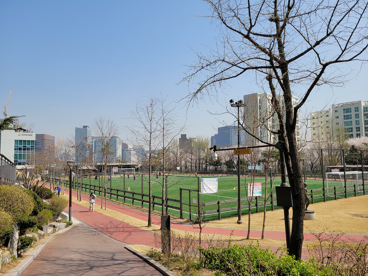 球关注的焦 球关注的焦