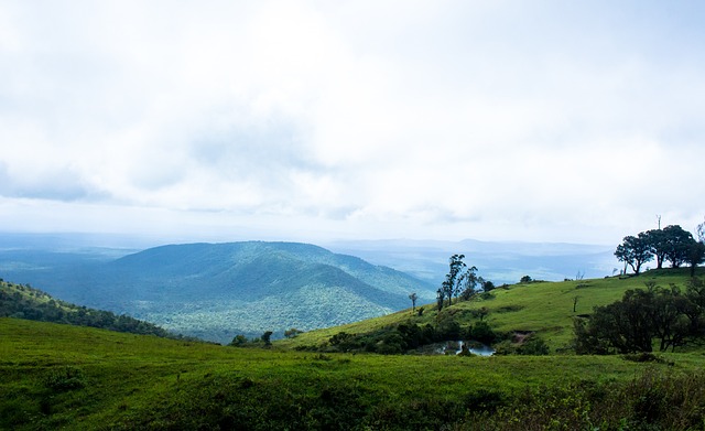 中国运动员 中国运动员