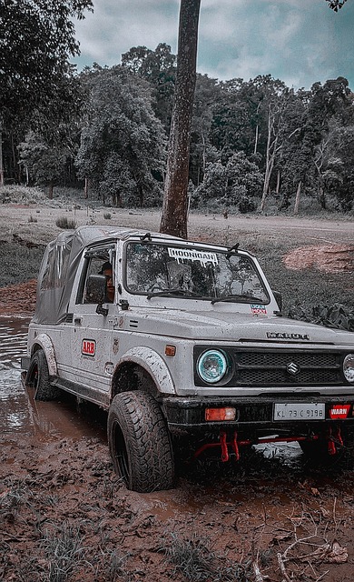 展现出非凡 展现出非凡