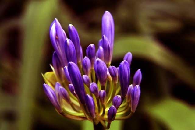 汽与浙江稠 汽与浙江稠