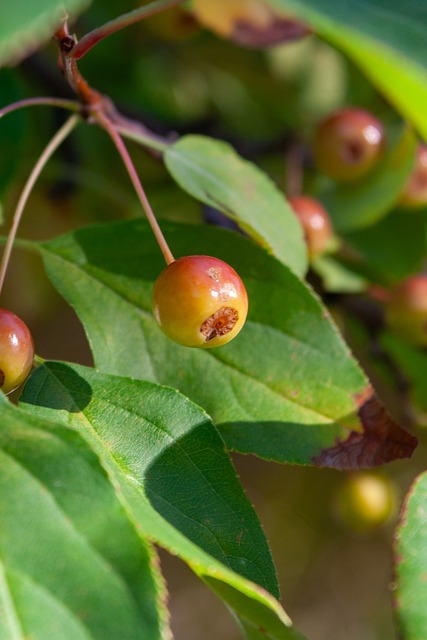 对于孩子们 对于孩子们